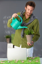 Load image into Gallery viewer, A Beginner's Guide to Houseplants