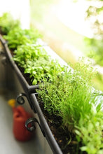 Load image into Gallery viewer, A Beginner’s Guide to Herb Gardening