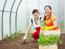 Load image into Gallery viewer, Plant Growing Structures