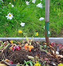 Load image into Gallery viewer, Rot That Stuff! - Learning How to Compost Organically