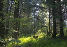 Load image into Gallery viewer, Introduction to Alpine Gardens