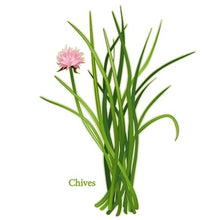 Load image into Gallery viewer, Growing Essential Herbs Organically