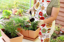 Load image into Gallery viewer, A Beginner's Guide to Planting a Garden