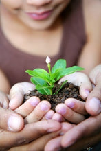 Load image into Gallery viewer, Seeds and Seed Growing - Choosing the Right Seeds for Your Land