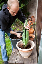 Load image into Gallery viewer, Introduction to Succulents and Cacti