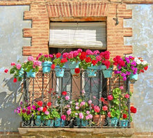 Load image into Gallery viewer, Floriculture - Domestic Flower Growing in Limited Spaces Tips