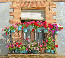 Load image into Gallery viewer, Ornamenting Your House