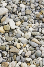 Load image into Gallery viewer, A Beginner’s Guide to Rock Gardens