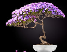 Load image into Gallery viewer, Gardening for Therapy