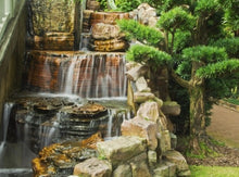 Load image into Gallery viewer, Introduction to Alpine Gardens