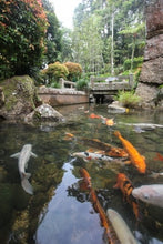 Load image into Gallery viewer, Introduction to Alpine Gardens