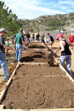 Load image into Gallery viewer, A Beginner’s Guide to Raised Bed Gardening