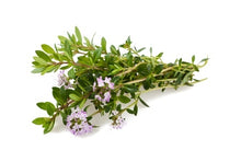 Load image into Gallery viewer, 20 Most Beneficial Herb Plants For Your Garden