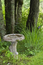 Load image into Gallery viewer, Feeding Houses and Birdbaths in Your Garden