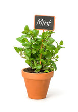 Load image into Gallery viewer, Gardening in a Limited Space for Newbies