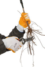 Load image into Gallery viewer, Tips for Backyard Gardening