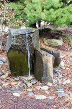Load image into Gallery viewer, A Beginner’s Guide to Rock Gardens