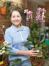 Load image into Gallery viewer, Essential Guide to Orchids