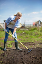 Load image into Gallery viewer, Feeding the Hungry Soil