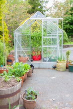 Load image into Gallery viewer, Glass in Your Vegetable Garden