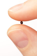 Load image into Gallery viewer, Seeds and Seed Growing - Choosing the Right Seeds for Your Land
