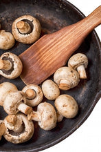 Load image into Gallery viewer, Introduction to Mushrooms