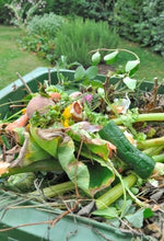 Load image into Gallery viewer, Rot That Stuff! - Learning How to Compost Organically