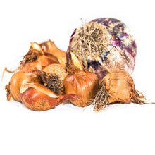 Load image into Gallery viewer, Introduction to Perennials and Bulbs