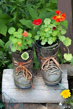 Load image into Gallery viewer, Pot it There - Container Gardening Even YOU Can Do