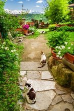 Load image into Gallery viewer, A Beginner’s Guide to Garden Pests and Diseases