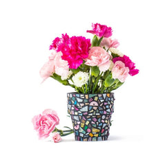 Load image into Gallery viewer, 20 Most Beneficial Herb Plants For Your Garden