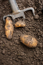 Load image into Gallery viewer, How to Create Your Own Organic Kitchen Garden