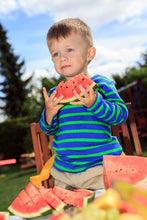 Load image into Gallery viewer, Introduction to Cucurbits