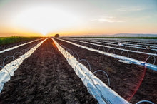 Load image into Gallery viewer, Growing Vegetables in Your Garden