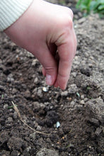 Load image into Gallery viewer, Tips for Backyard Gardening