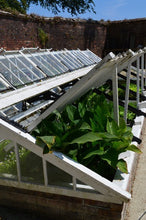 Load image into Gallery viewer, Glass in Your Vegetable Garden