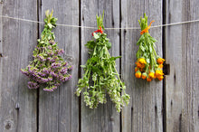 Load image into Gallery viewer, A Beginner's Guide to Herb Gardens - Herb Gardening in Your Home.