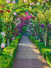 Load image into Gallery viewer, The GIANT Book on Growing Flowers