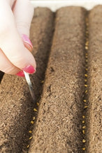 Load image into Gallery viewer, Seeds and Seed Growing - Choosing the Right Seeds for Your Land