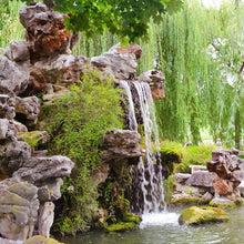 Load image into Gallery viewer, Introduction to Alpine Gardens