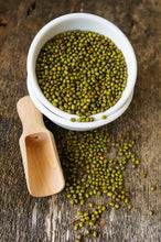 Load image into Gallery viewer, Tips for Backyard Gardening