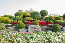 Load image into Gallery viewer, Introduction to Alpine Gardens