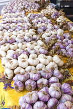 Load image into Gallery viewer, Introduction to the Onion Family