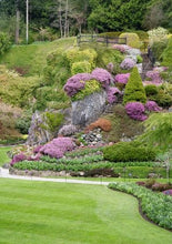 Load image into Gallery viewer, Introduction to Alpine Gardens