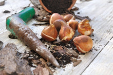 Load image into Gallery viewer, Growing Vegetables in Your Garden