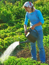 Load image into Gallery viewer, 20 Most Beneficial Herb Plants For Your Garden