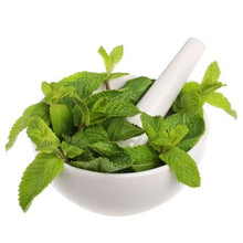 Load image into Gallery viewer, Growing Essential Herbs Organically