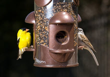 Load image into Gallery viewer, Feeding Houses and Birdbaths in Your Garden