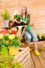 Load image into Gallery viewer, Potted Plant Culture