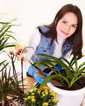 Load image into Gallery viewer, A Beginner's Guide to Houseplants